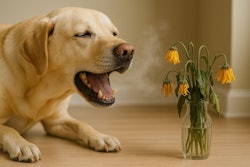A new study noted Superculture Pet Oral could offer a novel approach to pet oral health with potential applications in pet food and supplement formulations.