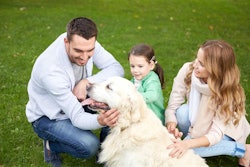 According to the author, Mexico's pet food market isn't collapsing — it's undergoing a reconfiguration.