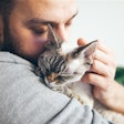 According to APPA's latest report, Gen Z and Millennial men are adopting cats at unprecedented rates, dismantling outdated stereotypes and ushering in the era of the 'Cat Dad.'