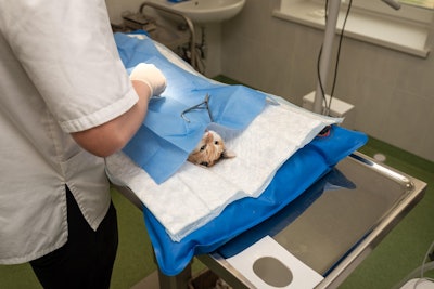 According to the company, this strategic investment will fund the Royal Canin Small Animal Clinical Nutrition Endowed Chair position in perpetuity.