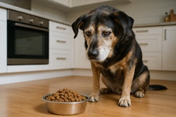 Chat Gpt Image Jun 4, 2025, 09 19 18 Am