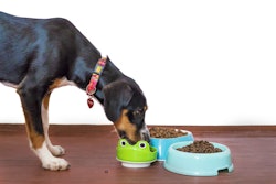 According to the author, last year Russia became the largest pet food market in Europe, ahead of France and Germany.