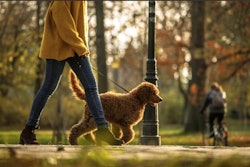 Together with C40 Cities, the BETTER CITIES FOR PETS program has the ambition to drive a global movement toward pet-friendly, climate-resilient cities designed for future generations.