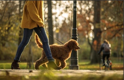 Together with C40 Cities, the BETTER CITIES FOR PETS program has the ambition to drive a global movement toward pet-friendly, climate-resilient cities designed for future generations.