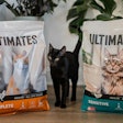Midwestern Pet Foods Ultimates Dry Cat Food