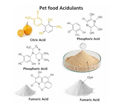 The pet food acidulants market is expected to experience robust growth, with a CAGR of over 5% during the next five years.
