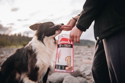 Pure Bites Expands Sales & Marketing Teams