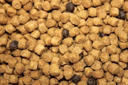 Up Close Pet Food Andrea Gantz