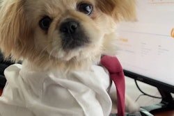 Zsa Zsa will serve as Zesty Paw’s ambassador while sniffing, sampling and tail-wagging her way through the latest in product developments.