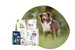 Vafo Group operates nine production facilities in Europe and has subsidiaries in the Czech Republic, Austria, Finland, Germany, Sweden, Poland, the UK as well as Estonia.