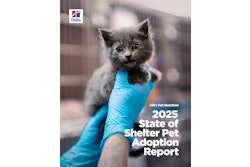 2025 Shelter Report Cover Hires