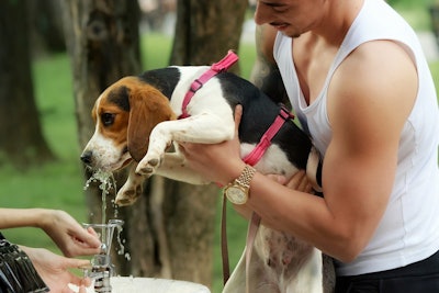 According to FMI, the global pet food market is experiencing an unprecedented surge, driven by the profound trend of pet humanization, a growing demand for premiumization, and an increasing shift toward tailored nutrition.