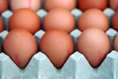 Eggs are a complete, bioavailable protein with many potential uses in pet food formulations.
