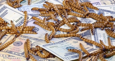 Hamsterman Big Stock com Mealworm Money Insect Novel Ingredient