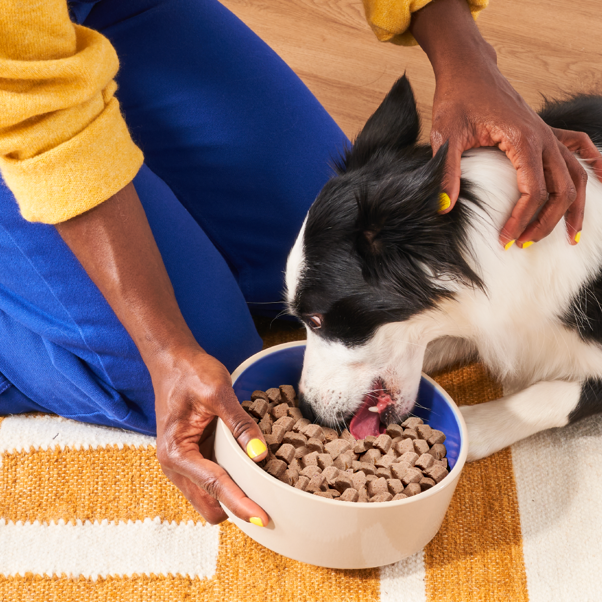 Heckova!&rsquo;s philosophy is simple: Every dog is a heck of a dog, and food should make their lives happier and healthier.