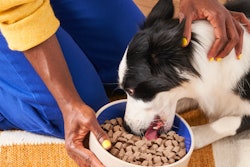 Heckova!’s philosophy is simple: Every dog is a heck of a dog, and food should make their lives happier and healthier.