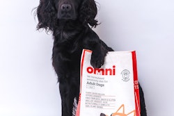 Omni Bean Cover Image (1)
