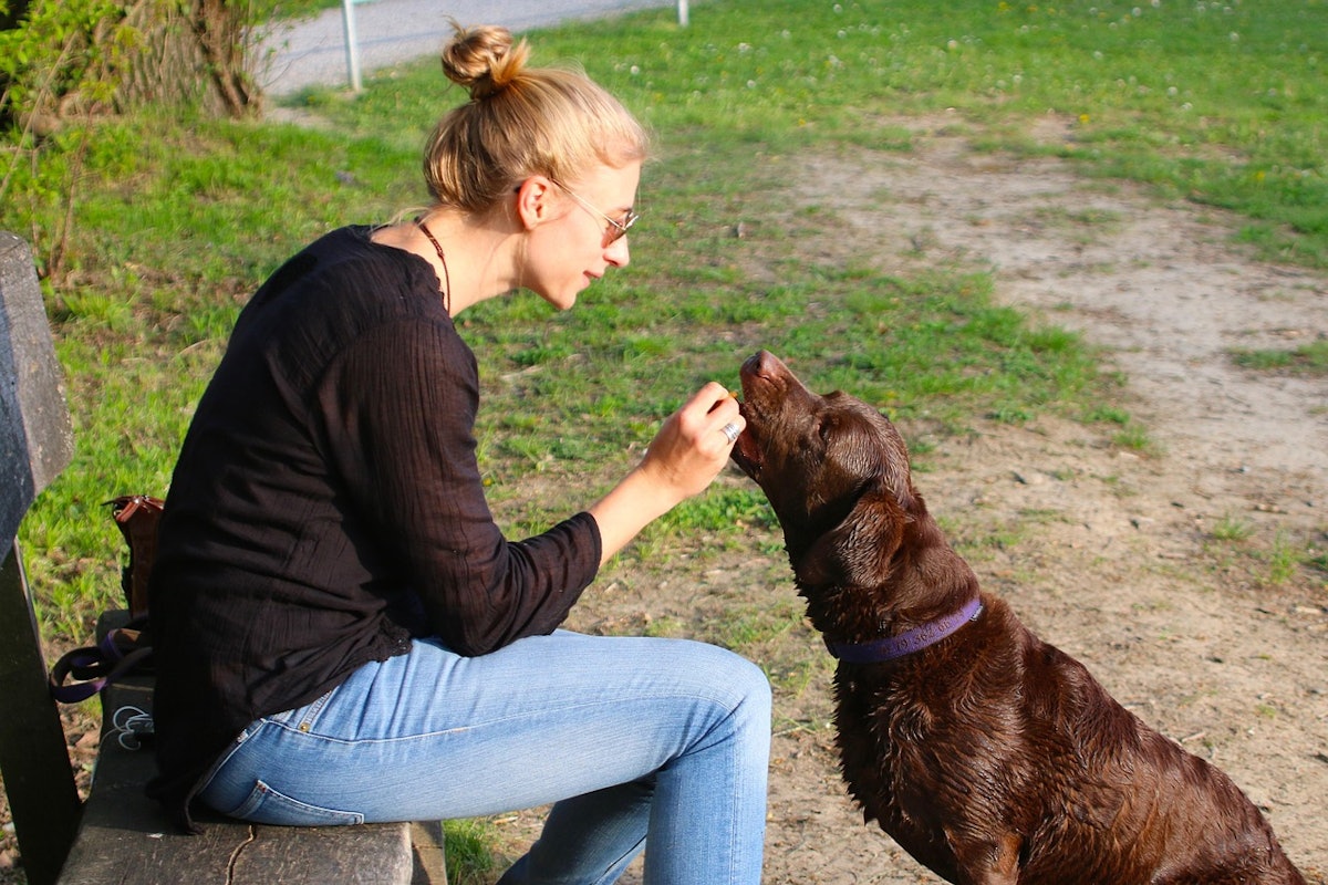 Rising pet food, veterinary costs top challenges to pet ownership