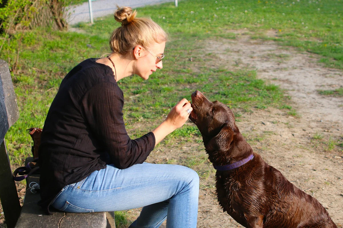 Rising pet food, veterinary costs top challenges to pet ownership Rising pet food, veterinary costs top challenges to pet ownership
