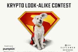 Pumpkin Pet Insurance is hosting a Krypto the Superdog look-alike contest with the release of the DC Studios film, Superman.