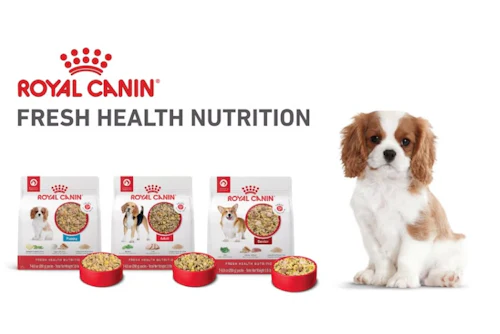 Royal Canin Fresh Health Nutrition