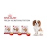 Royal Canin Fresh Health Nutrition