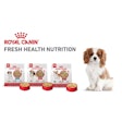 Royal Canin Fresh Health Nutrition