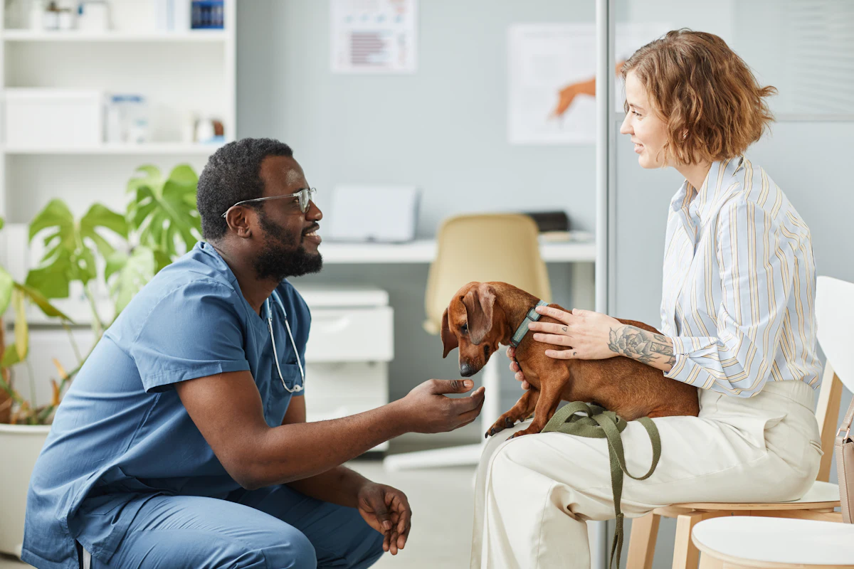 Pet food as pet medicine: Owners seem open, can vets help?