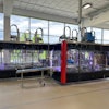 Somic 434 Super Flex