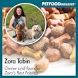 Sound Cloud Cover Art 800x800 Zora Tabin