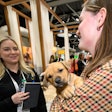 A special Women in Petfood Leadership chat delves into how strategic mentorship relationships can shape leadership journeys in the pet food industry.