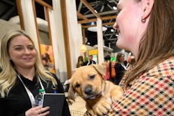 A special Women in Petfood Leadership chat delves into how strategic mentorship relationships can shape leadership journeys in the pet food industry.