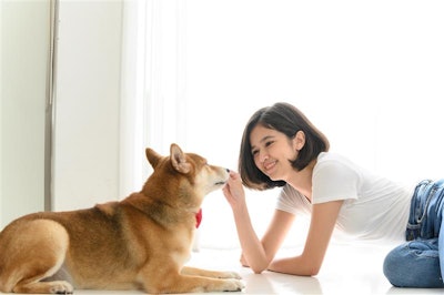 In the Asia-Pacific region, a growing cat and dog population, evolving pet humanization, appeal for premium offerings and low penetration levels of packaged food feeding is creating prospects for market expansion and penetration.