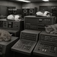 1950's Photo Of Cats In The Computerized Control Room Of A Pet Food Factory The Room Is Filled With Antiquated Computers The Cats Sleep Atop The Computers