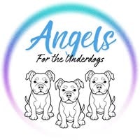 Angels For The Underdogs Logo