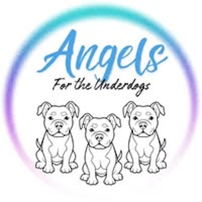 Angels For The Underdogs Logo