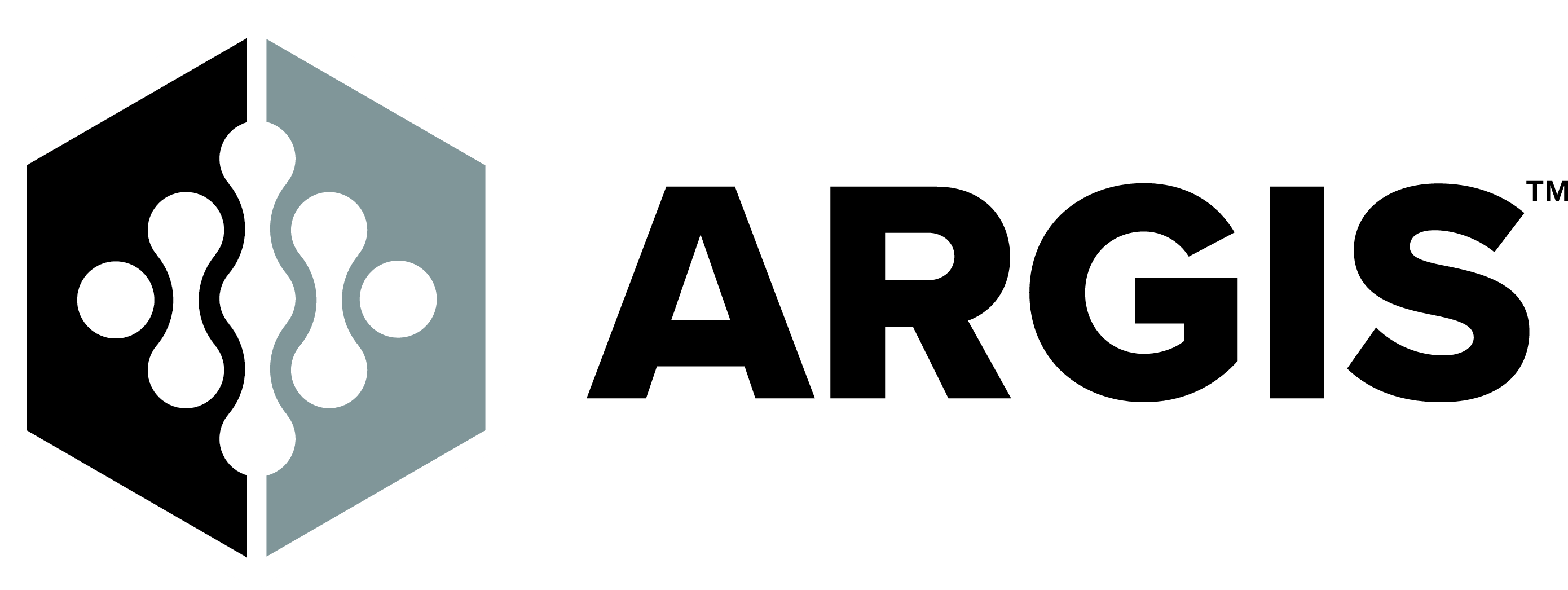 Argis Logo Color (002)
