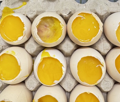 Arm Hammer Enterocuccus Disease Control Program