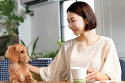 Aug2025 China Market Istock com