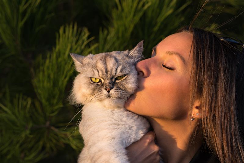 Cat ownership reached 49 million households in 2024, driven largely by Gen Z and Millennial pet parents.