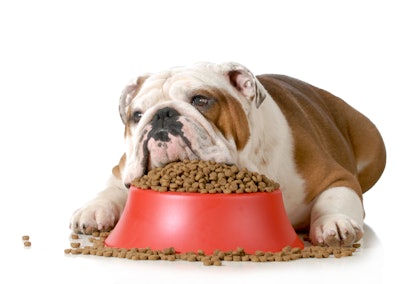 The amount of calories an animal needs is based on more than their ideal body weight. Age, breed, metabolism, medical conditions, and amount of exercise all play a role.