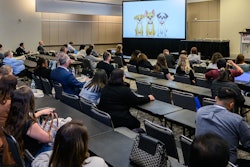 Pff Call For Papers Paul Ward Photography