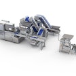 Provisur Bone Cannon Hs250 Max Line Web