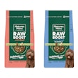 Raw Boost Gama Raw Boost Condensed