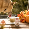 The Honest Kitchen Pumpkin Spice Latte