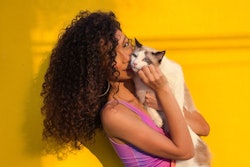 According to recent research, deep emotional bonds increasingly drive pet food purchasing decisions beyond traditional factors like price and nutrition in Chile.