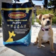 Champion Pet Food continues to purchase new machinery to ramp up its production and packaging capabilities.