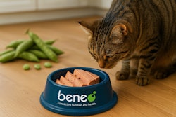 In its latest study, BENEO's faba bean protein concentrate showed strong potential as an alternative to animal blood plasma in wet pet food.
