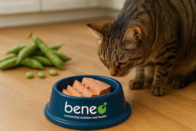 In its latest study, BENEO's faba bean protein concentrate showed strong potential as an alternative to animal blood plasma in wet pet food.