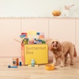 Butternut Box